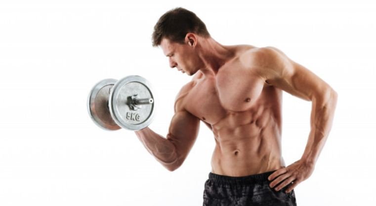 Importance-of-Steroid-Cycle